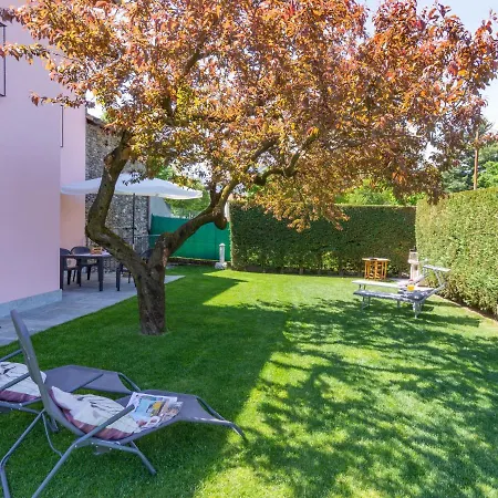 Orchidea - Cco555 By Interhome * كوليكو